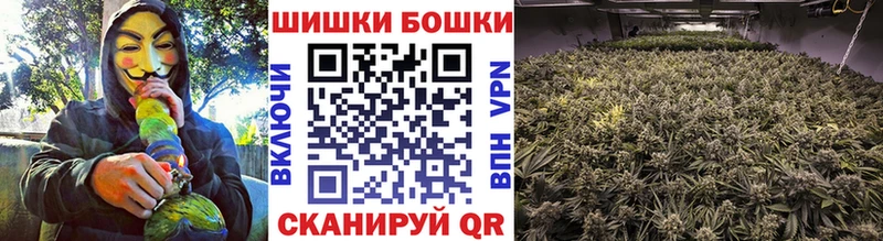 ГАШ Закаменск