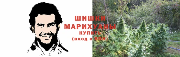 эйфоретик Нягань