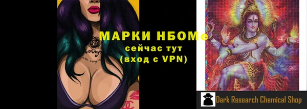 дживик Новодвинск