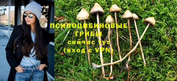 мескалин Нязепетровск